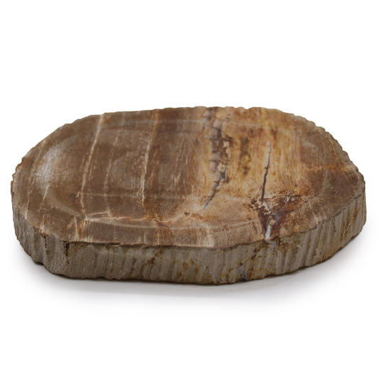 Petrified Wood Brown Soap Dish