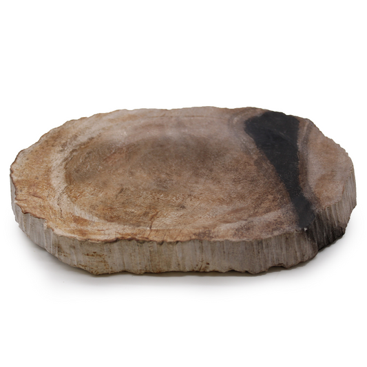 Petrified Wood Black Soap Dish