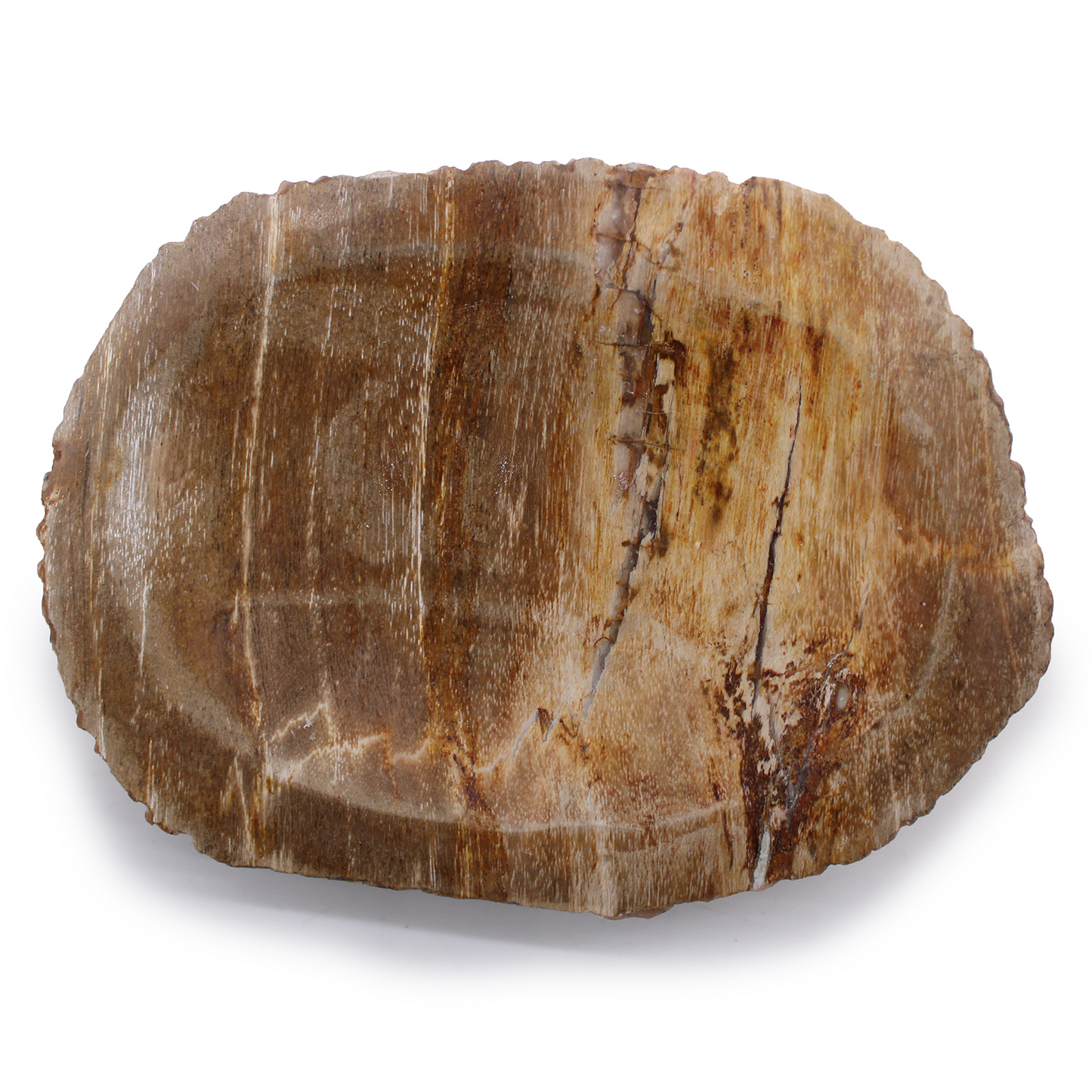 Petrified Wood Brown Soap Dish