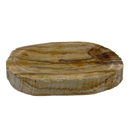 Petrified Wood Brown Soap Dish