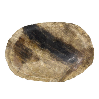 Petrified Wood Black Soap Dish