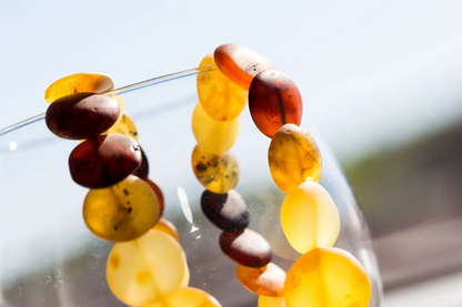 Multicolour Amber Disc Necklace