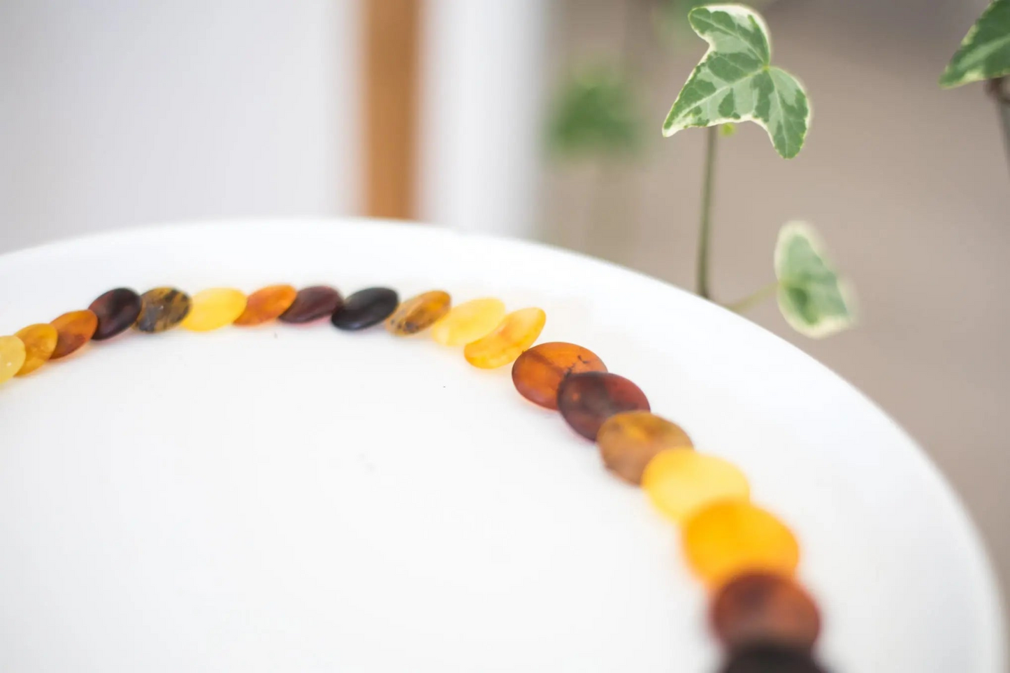 Multicolour Amber Disc Necklace