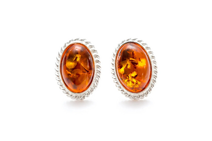 Amber Quintessence Stud Earrings